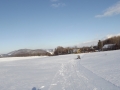 DSCF7263