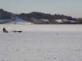 DSCF7268