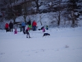 IMGP5922_resize