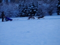 IMGP5990_resize