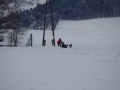 IMGP6082_resize