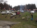 DSCF6764