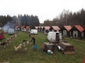 DSCF6765