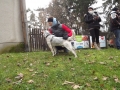 DSCF6771