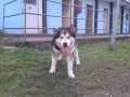 20140330_085635