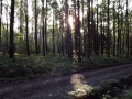 DSCF5967