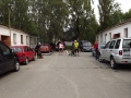 DSCF6216