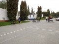 DSCF6231
