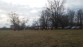 20170305_153317