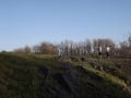 dscf2361